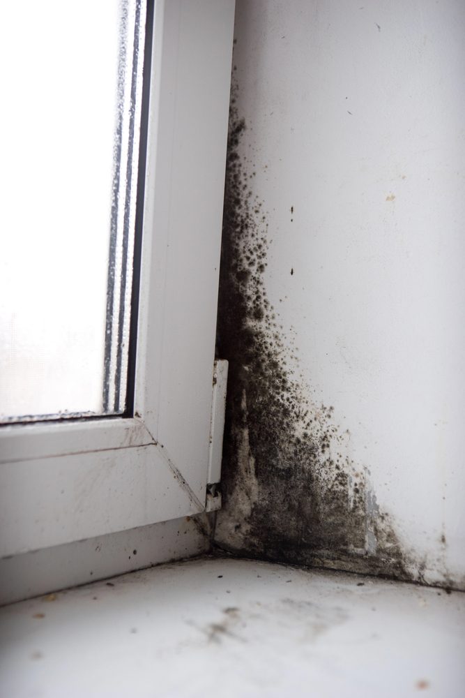 Black mold growth in corner of white window frame and wall, showing significant moisture damage and mold contamination.