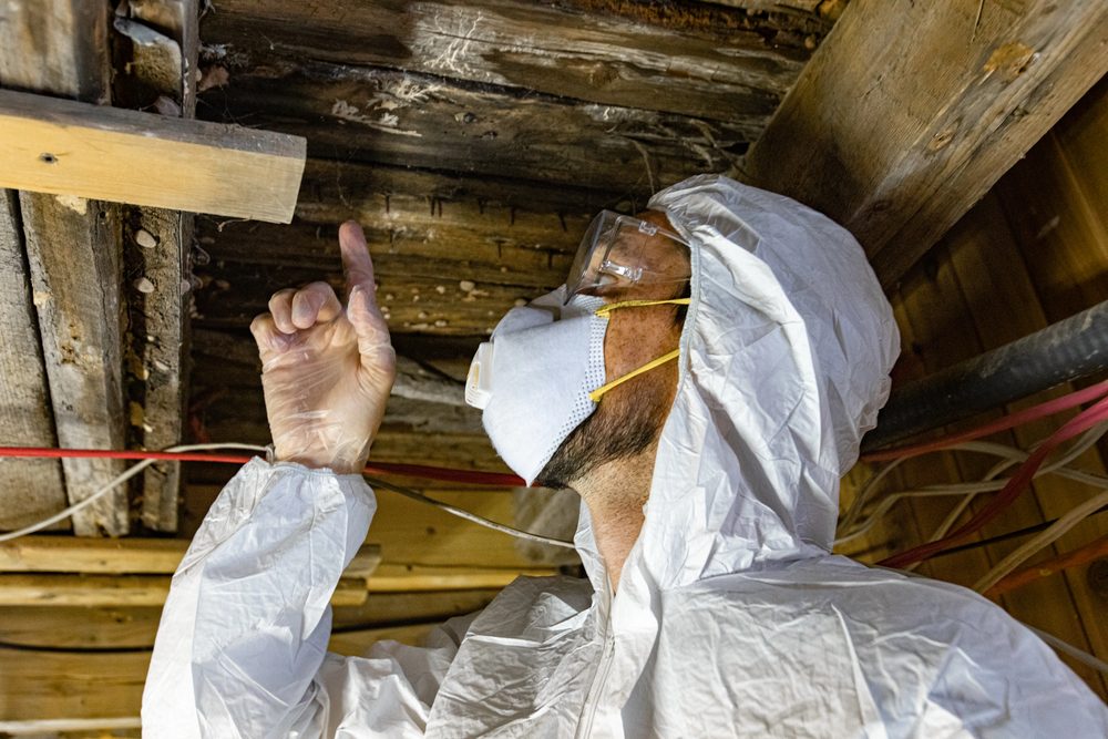 Mold remediation specialist in white hazmat suit and respirator inspecting rotted wood beams in crawl space