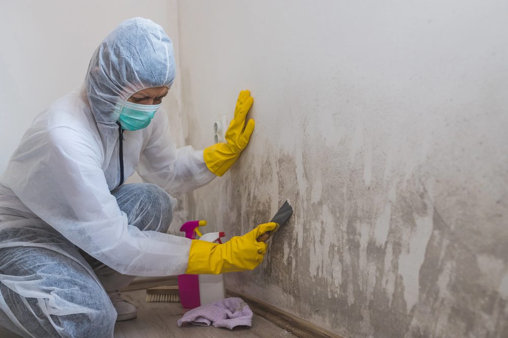 Technician in protective suit and gloves scraping mold from a wall during professional mold remediation