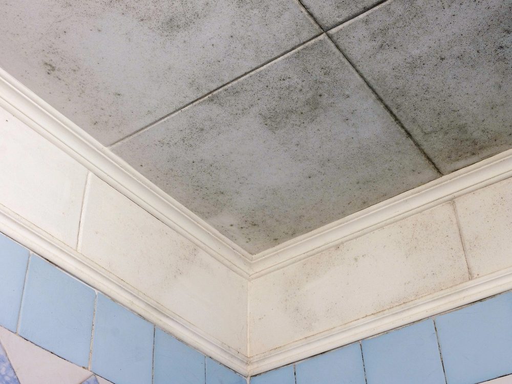 Bathroom ceiling tiles covered in black mold growth, with blue and white wall tiles below showing moisture damage.