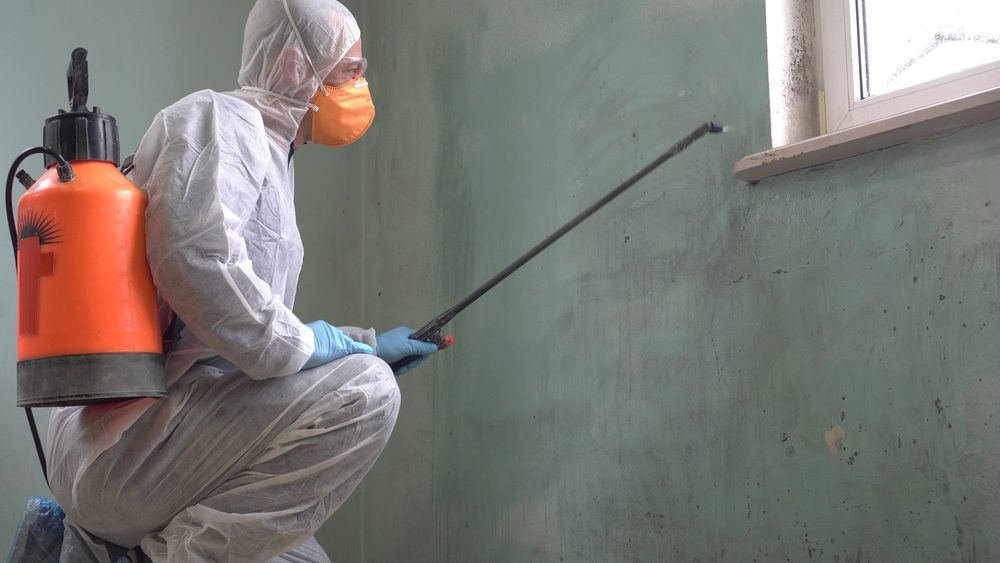 Mold inspector in white hazmat suit and respirator spraying treatment on green mold-covered interior wall