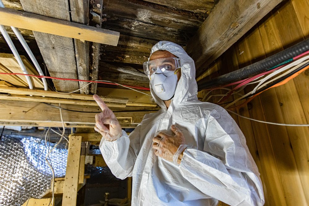 Mold remediation specialist in white hazmat suit, respirator, and goggles inspecting a crawl space with damaged wooden beams.