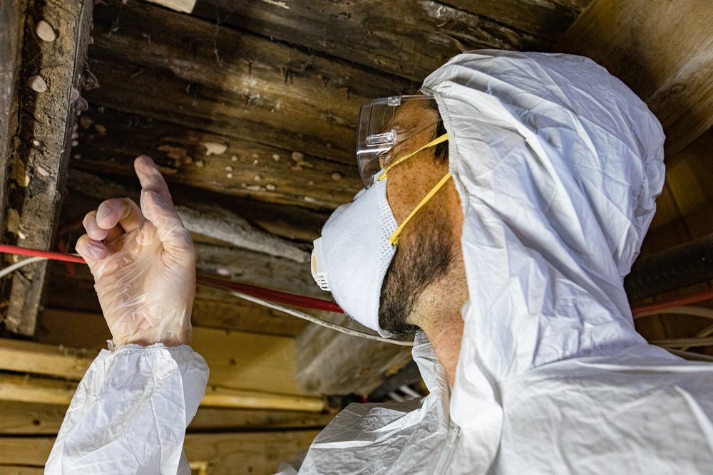 Mold remediation specialist in white hazmat suit, respirator, and goggles inspecting rotting wooden ceiling joists