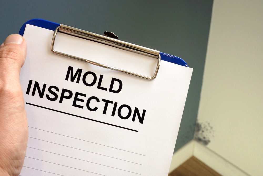 Hand holding a blue clipboard with a Mold Inspection form, with visible mold growth on a wall in the background.