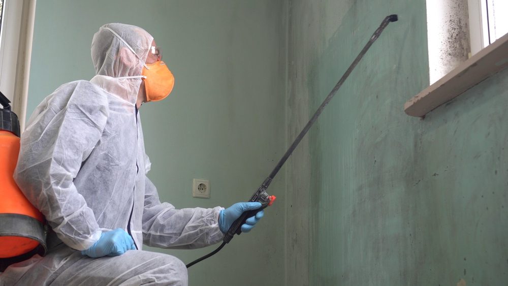 Mold remediation specialist in white hazmat suit spraying antifungal treatment on mold-covered interior wall